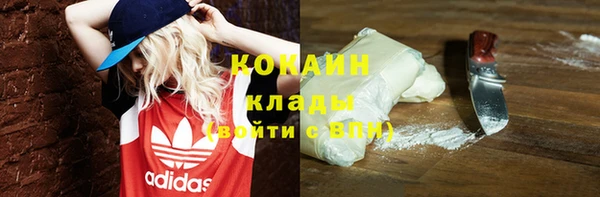 мяу мяу мука Горно-Алтайск
