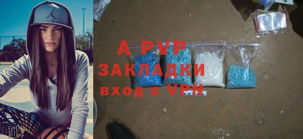 мяу мяу мука Горно-Алтайск