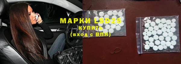 PSILOCYBIN Горнозаводск