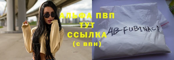 PSILOCYBIN Горнозаводск