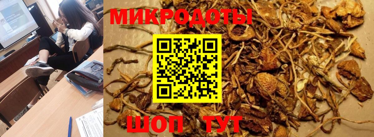 Знаменск  Псилоцибиновые грибы Psilocybe  Вход с VPN 