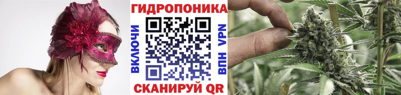 где найти   Знаменск  Каннабис AK-47 